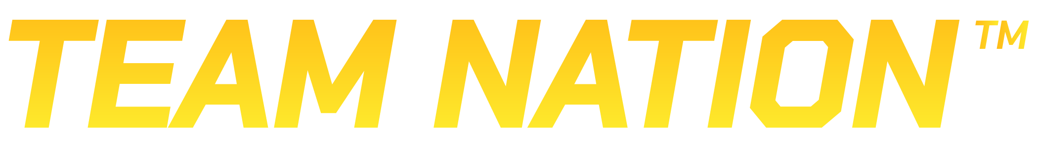 TN_TM_LightningYellow_HorizontalLogo